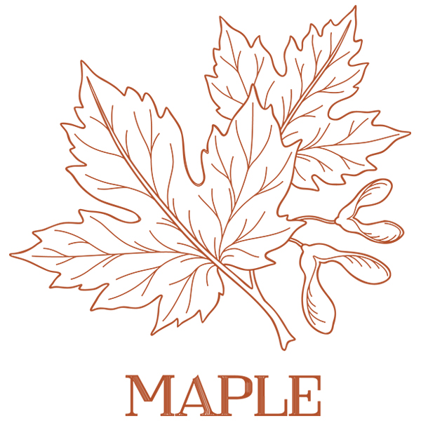 Leafy Botanicals - Maple [SVG, DXF]