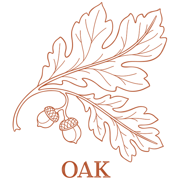 Leafy Botanicals - Oak [SVG, DXF]