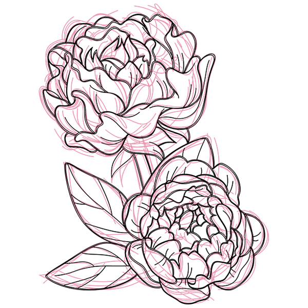 Sketched Peony [SVG, DXF]