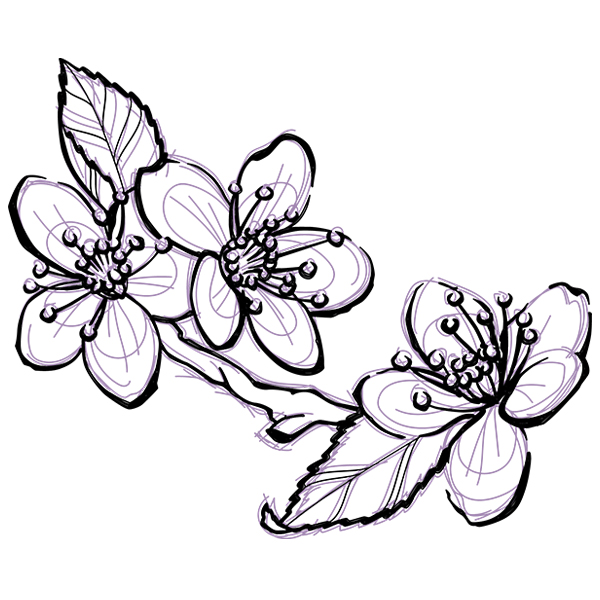 Sketched Cherry Blossom [SVG, DXF]