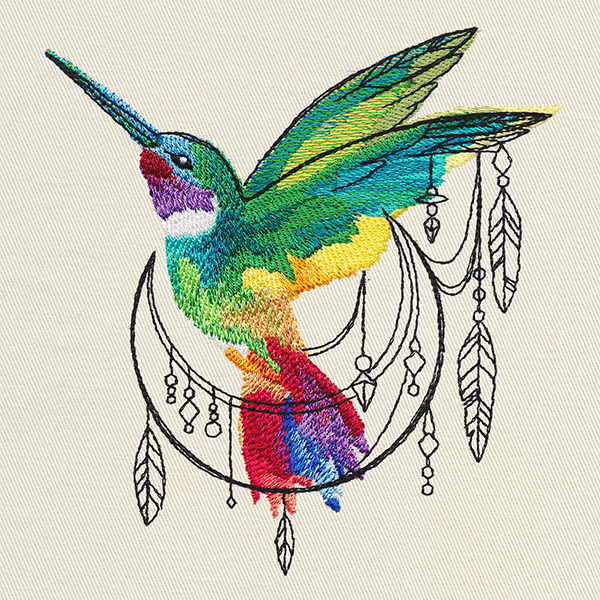 Bohemian Hummingbird
