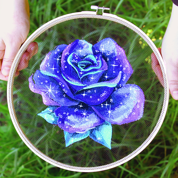 Night Sky Rose