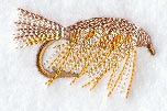 Tied Down Caddis Fishing Fly