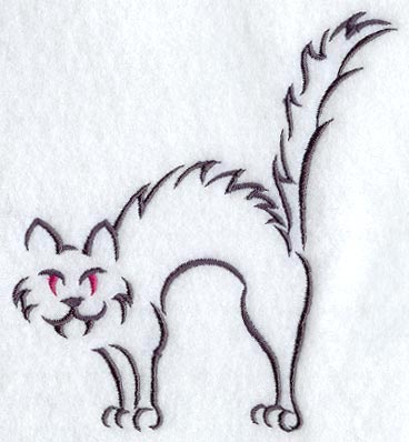 Fraidy Cat