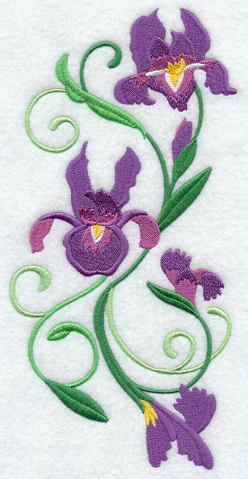 Iris Spray