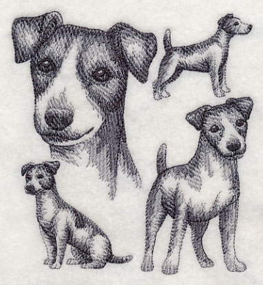 do jack russell terriers have docked tails