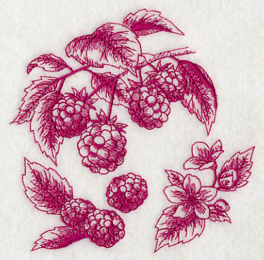 Pinterest Raspberry Toile Raspberry Botanical (Toile)