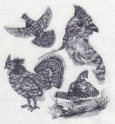 Ruffed Grouse Drawing