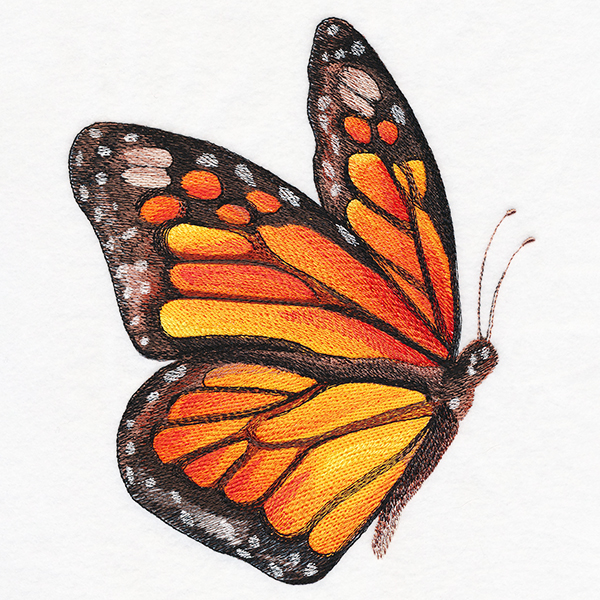 Monarch In Watercolor