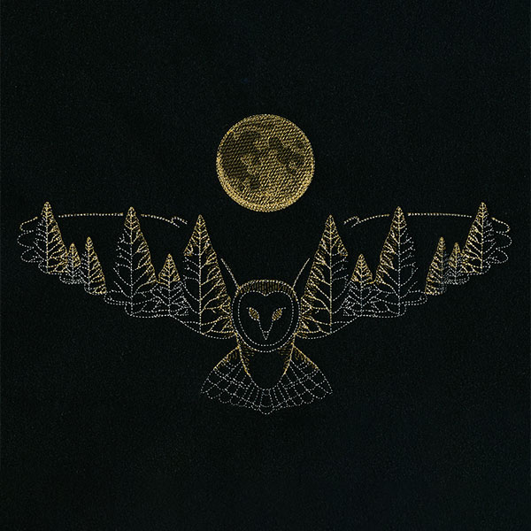 Owl in Moonlight