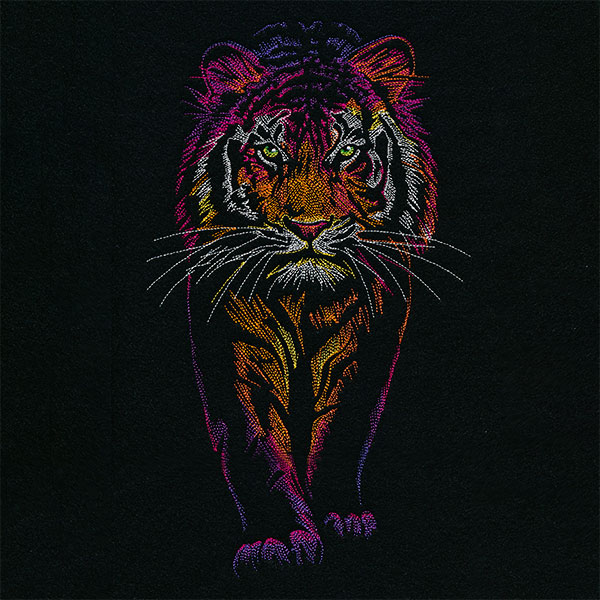 Rainbows & Mystery Tiger